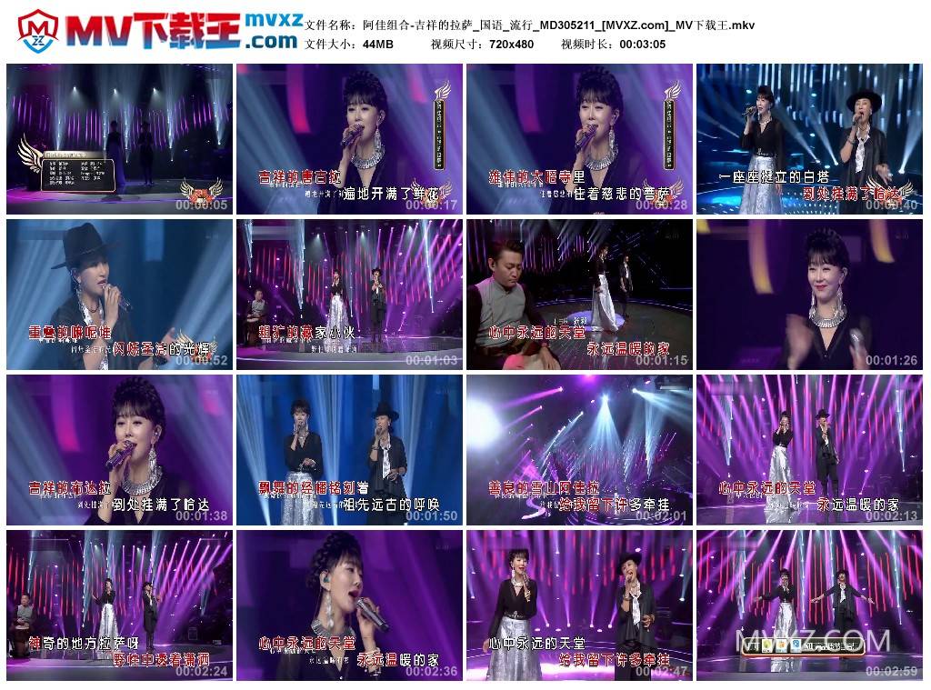 阿佳组合-吉祥的拉萨_国语_流行_MD305211